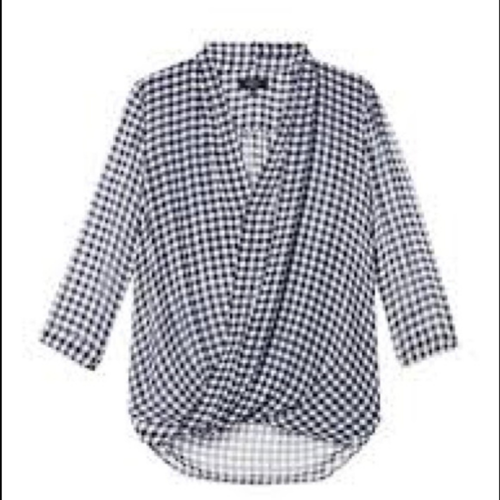 Aritzia Babaton XS Beau blue gingham silk blouse